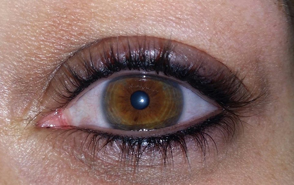 Black Magic by Li Pigments, Li Aqua Pigment line, micropigmentation pigment, eyeliner pigment healed results 1