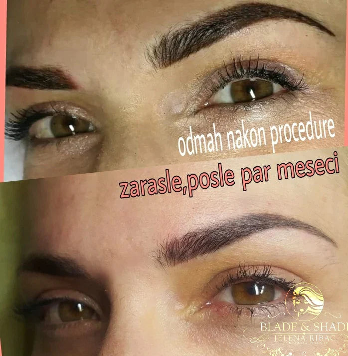 Dark Toffee by Li Pigments, Li Aqua Pigment line, micropigmentation pigment, eyebrow pigment healed results 4