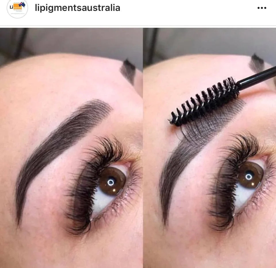 Ebony Brown by Li Pigments, Li Aqua Pigment line, micropigmentation pigment, eyebrow pigment healed results by Suzie S.