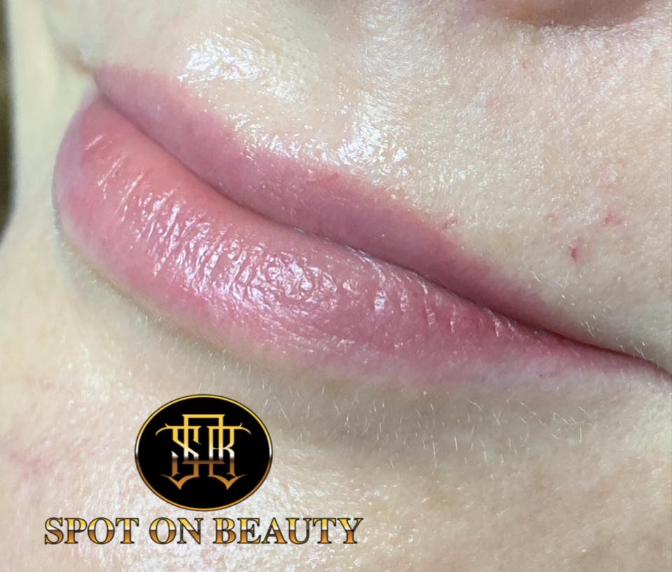 Valentine Kiss by Li Pigments, Li Aqua Pigment line, micropigmentation pigment, lip pigment healed results 2
