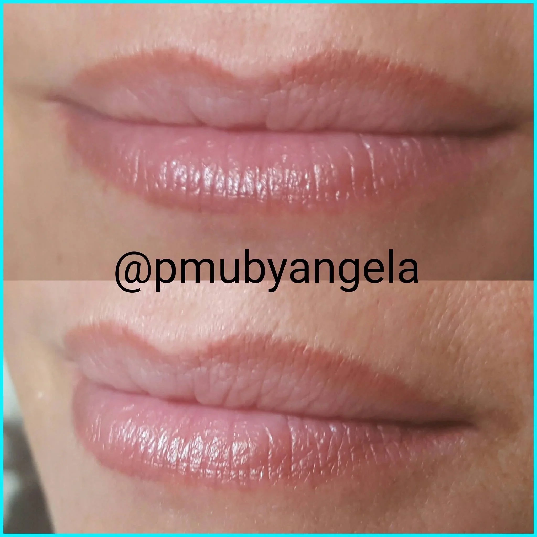 Country Mauve 15ml by Li Pigments, Li Aqua Pigment line, micropigmentation pigment, lip pigment healed results 3