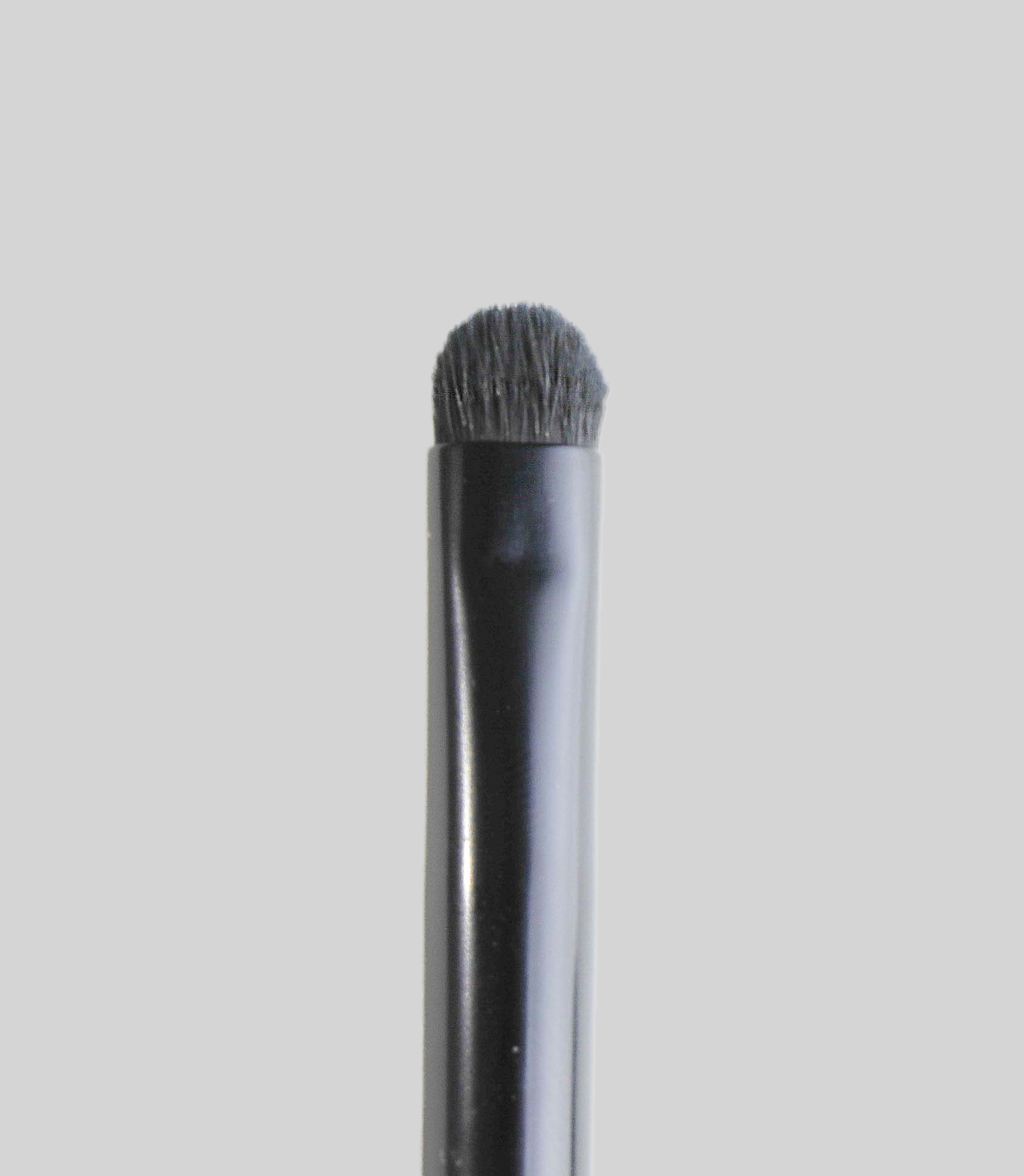 The Basic Brush Collection